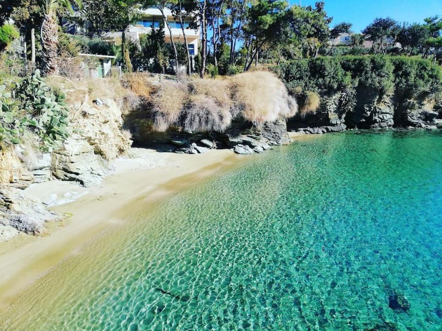 Lenico Beachfront Suites Agia Pelagia Dış mekan fotoğraf