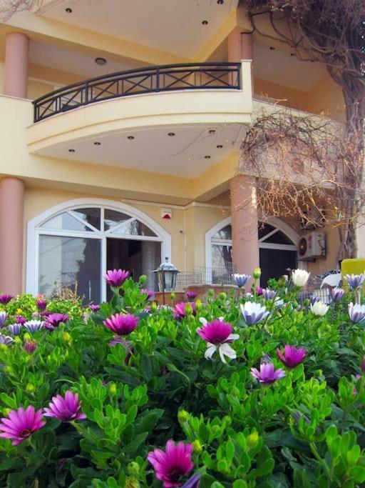 Lenico Beachfront Suites Agia Pelagia Dış mekan fotoğraf