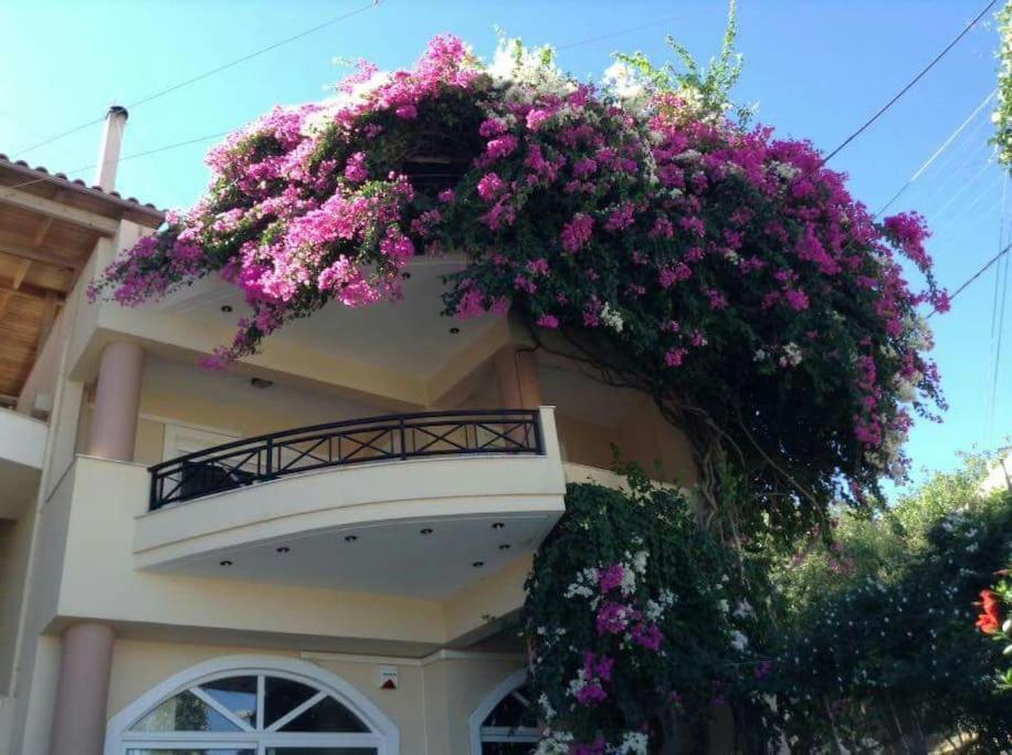 Lenico Beachfront Suites Agia Pelagia Dış mekan fotoğraf
