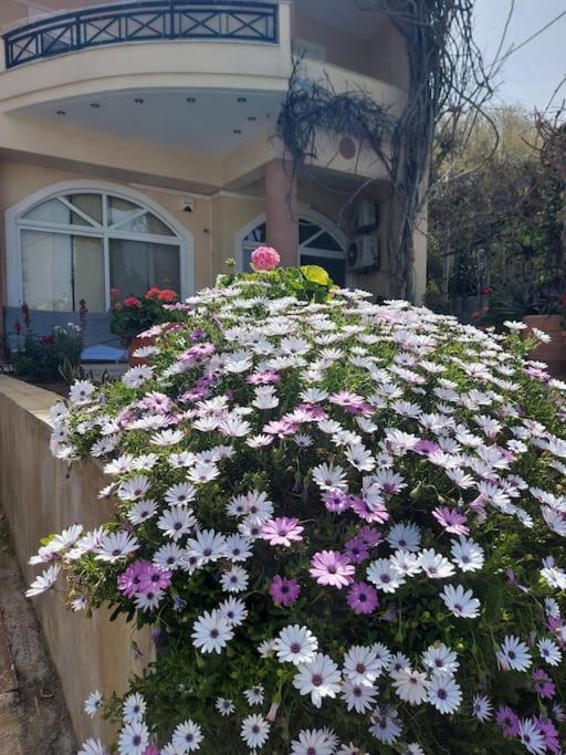 Lenico Beachfront Suites Agia Pelagia Dış mekan fotoğraf