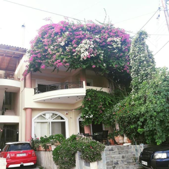 Lenico Beachfront Suites Agia Pelagia Dış mekan fotoğraf