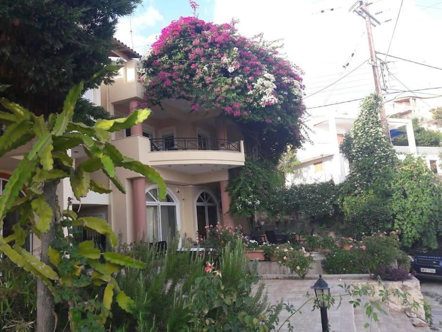 Lenico Beachfront Suites Agia Pelagia Dış mekan fotoğraf